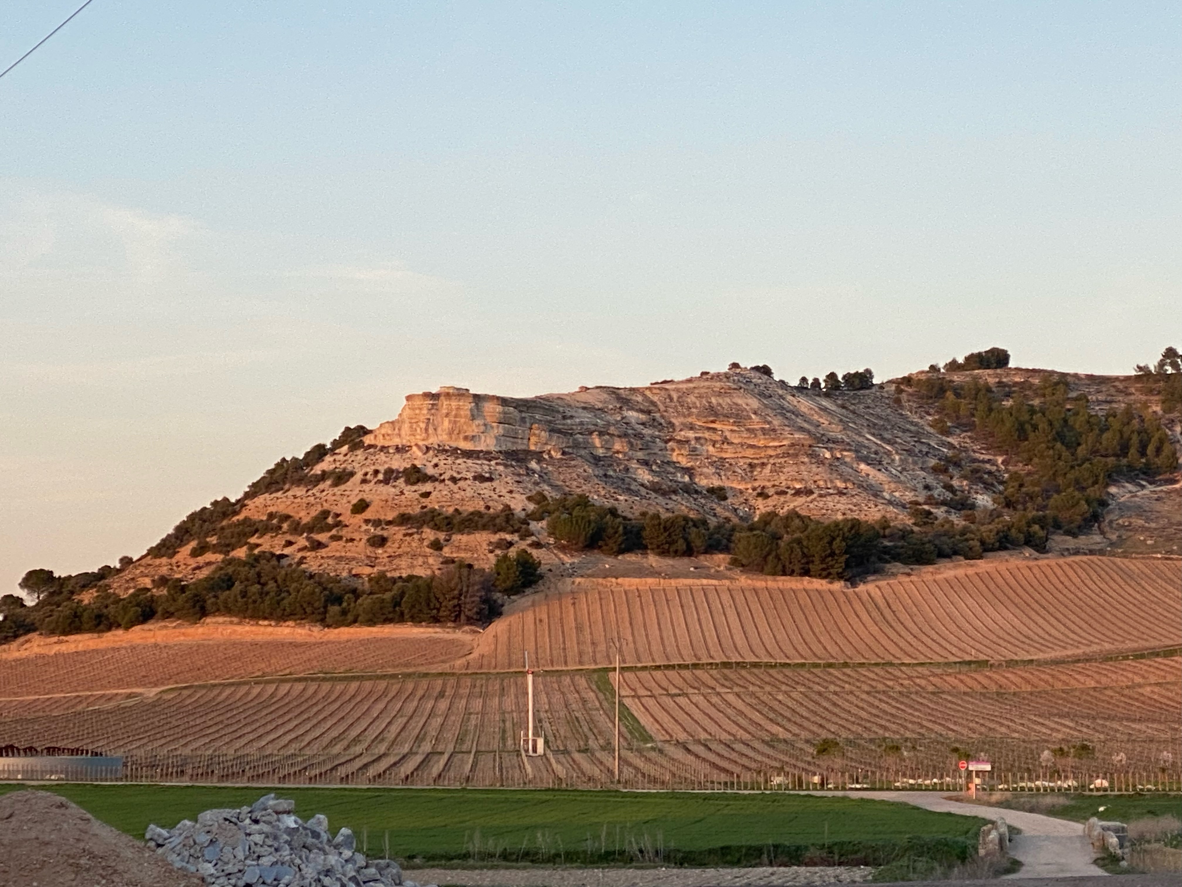 Bodega Peñafalcón